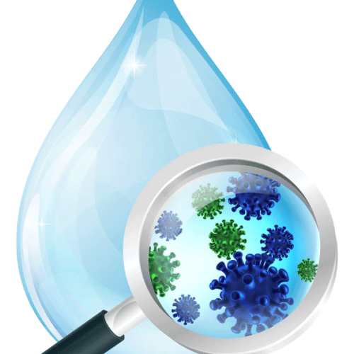 Органолептический контроль качества воды